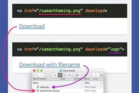 解决浏览器不能正常下载txt而是直接打开的问题(HTML版本)