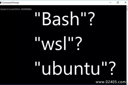 Windows WSL 基本命令大全