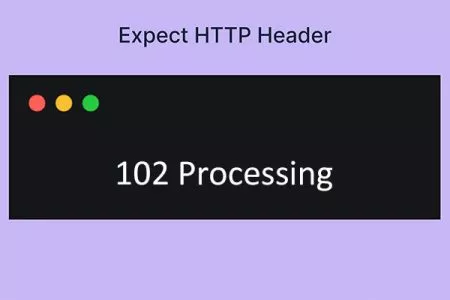 102 Processing 状态码