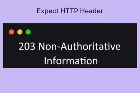203 Non-Authoritative Information 状态码
