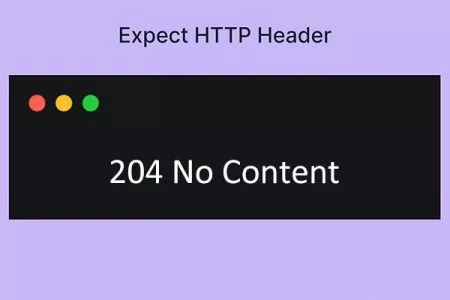 204 No Content 状态码