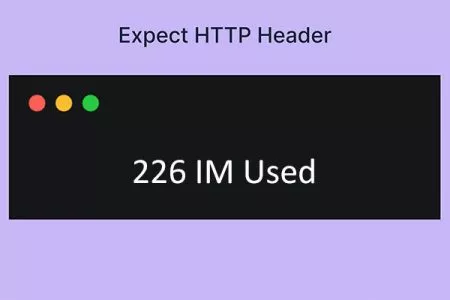 226 IM Used 状态码
