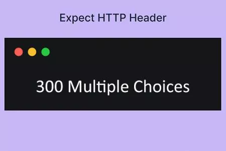 300 Multiple Choices 状态码