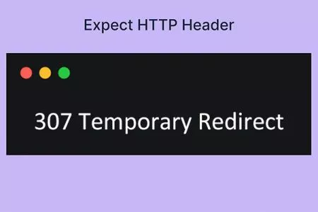 307 Temporary Redirect 状态码