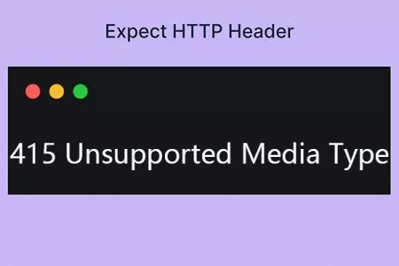 415 Unsupported Media Type 状态码