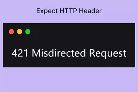 421 Misdirected Request 状态码